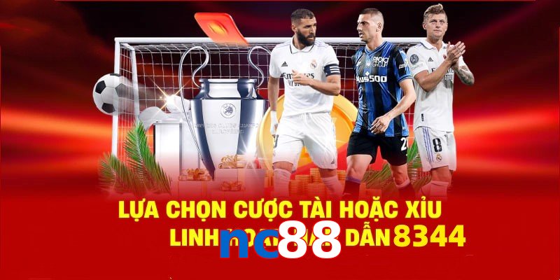 Danh mục đa dạng, đoán chuẩn là nhận tiền