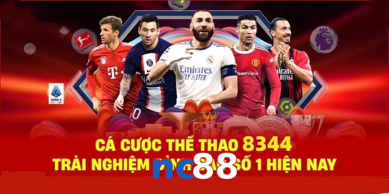 Đá Gà Philippines – Tinh Hoa Truyền Thống Và Thể Thao 